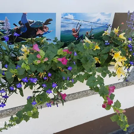 Гостевой дом Hacienda *