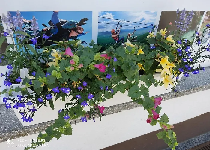 ゲストハウス Hacienda *